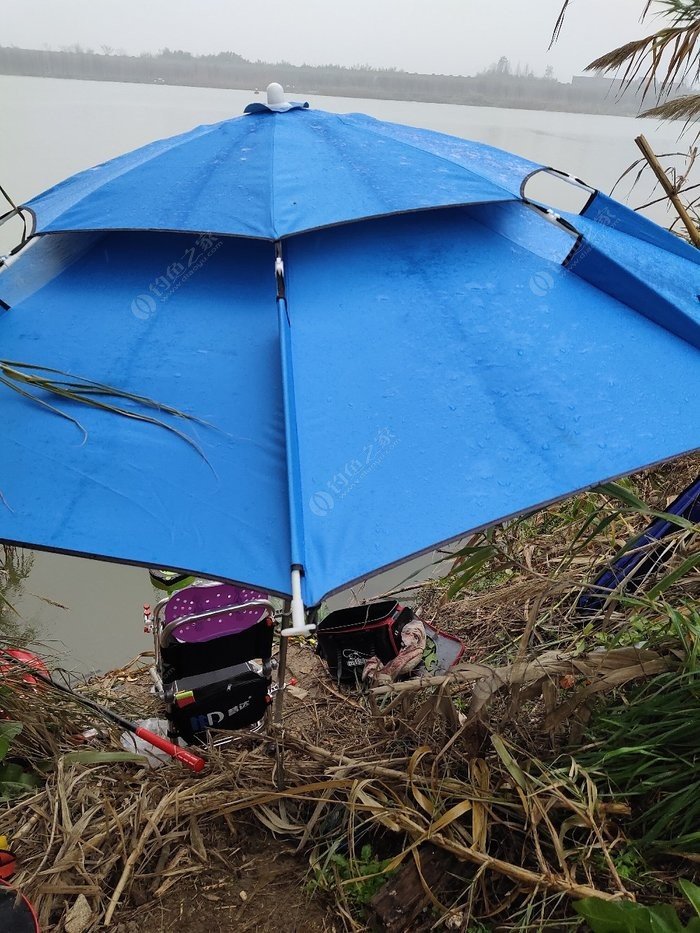 釣魚雨前還是雨后好_雨前釣魚_釣魚雨前好還是雨后好