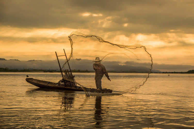 歐洲巨鯰和湄公河巨鯰_湄公河巨鯰是巴沙魚嗎_湄公河巨鯰