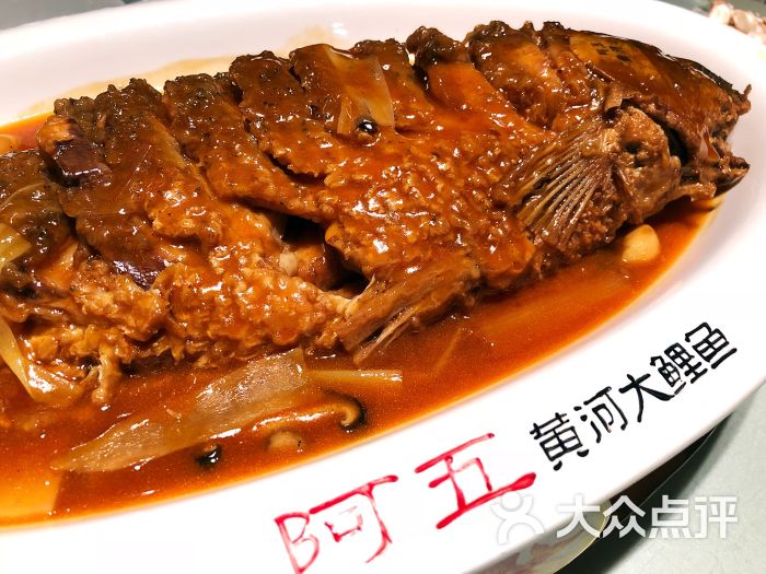 黃河鯉魚的做法_黃河鯉魚的做法_黃河鯉魚的做法