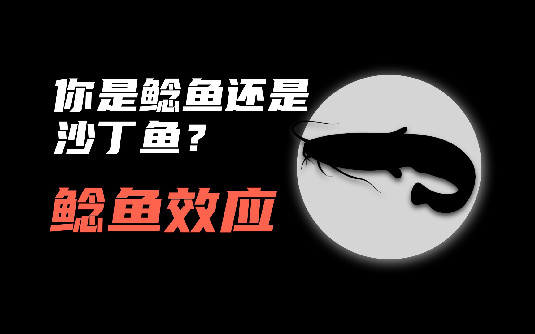 鯰魚效應_鯰魚效應等各種效應_效應鯰魚效應