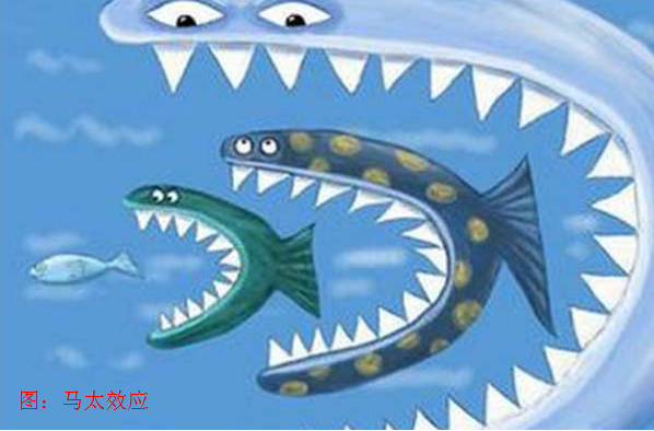 鯰魚效應_鯰魚效應吧_效應鯰魚效應