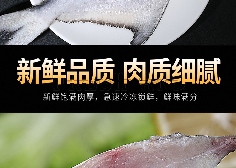 鯧魚市場價多少錢一斤_鯧魚價格_鯧魚的價格平時是多少
