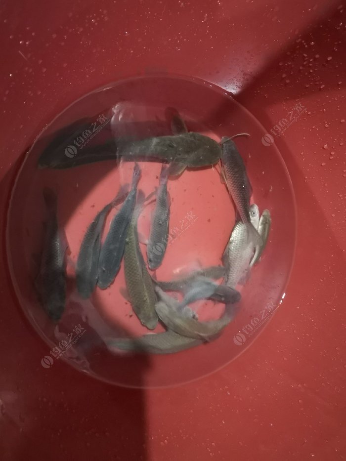 釣魚天氣app官方下載_釣魚天氣_釣魚天氣預報專業版