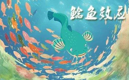 鯰魚效應_效應鯰魚效應_鯰魚效應中公