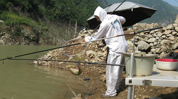 魚線型號_魚線型號_魚線規格型號對照