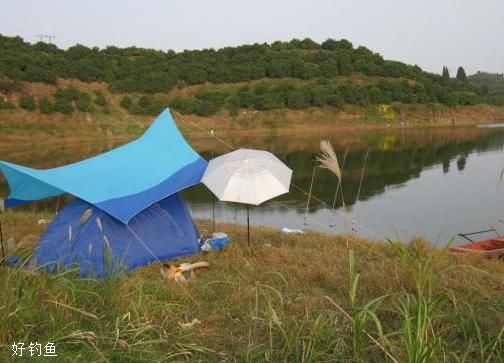 泰興釣魚20元一天_泰興釣魚論壇_泰興釣魚網