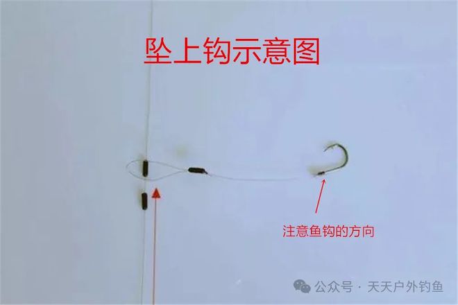 草魚鉤號選多少號合適_釣草魚用幾號鉤最合適_釣草魚用什么勾幾號的