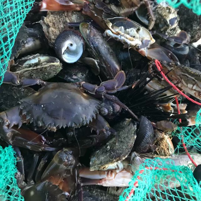 去海釣_海釣去哪里報名_海釣去3海里的地方嗎