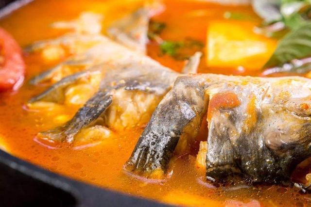 肥肉魚餌制作_肥肉魚餌制作方法視頻_肥肉釣魚效果怎樣