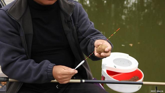 海釣魚圖鑒_海釣釣組圖解_海釣圖標