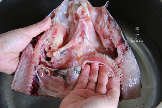 大頭魚是什么魚_大頭魚是什么海魚嗎_大頭魚是鳙魚嗎