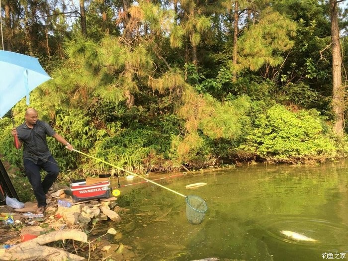 釣鯉魚的最佳時間_釣鯉魚最佳時間是什么時候_冬天夜釣鯉魚最佳時間