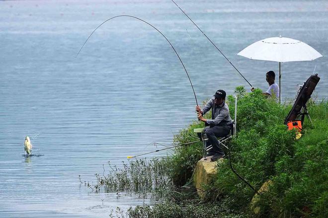 釣水庫鯽魚技巧正確方法圖片_釣水庫鯽魚技巧正確方法圖解_水庫釣鯽魚的正確方法與技巧