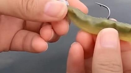 釣魚原理技巧調漂圖解_釣魚原理技巧調漂視頻_釣魚調漂技巧及原理