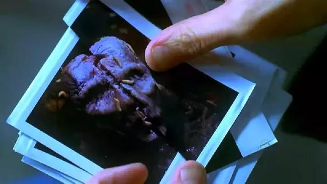 食人鯧是什么魚_食人魚鯧魚_食人鯧是不是魚