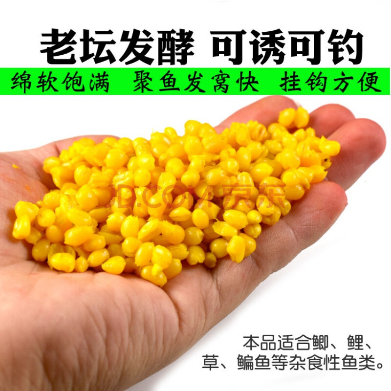 （釣魚技巧）正釣的偷驢范籌，你知道嗎？