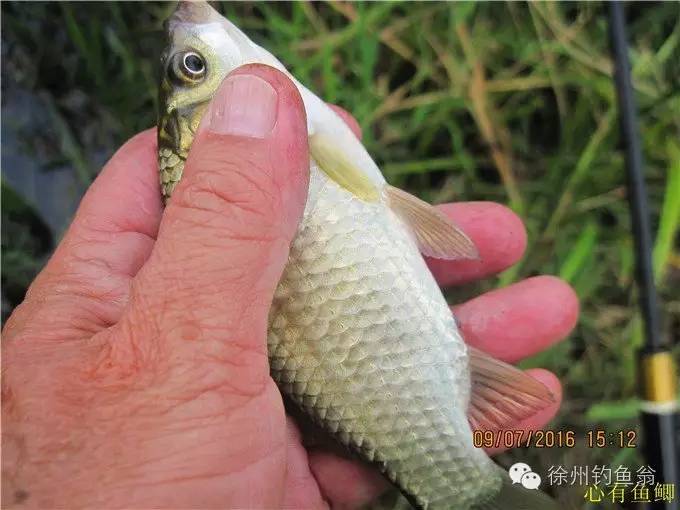 船釣需要帶什么樣的裝備呢？