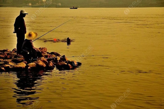 海釣鱸魚釣底還是釣浮_海釣鱸魚釣多深的水層_海釣鱸魚沉底還是半水