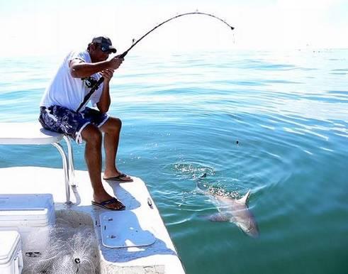 海釣鱸魚釣組大全_海釣鱸魚的三種經典釣法分享_海釣鱸魚經驗