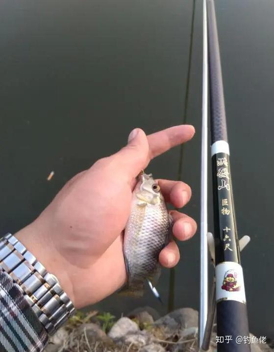 2.0主線適合釣多大魚_釣魚主線選擇2.0還是1.5_釣魚主線用2.0與3.0區別