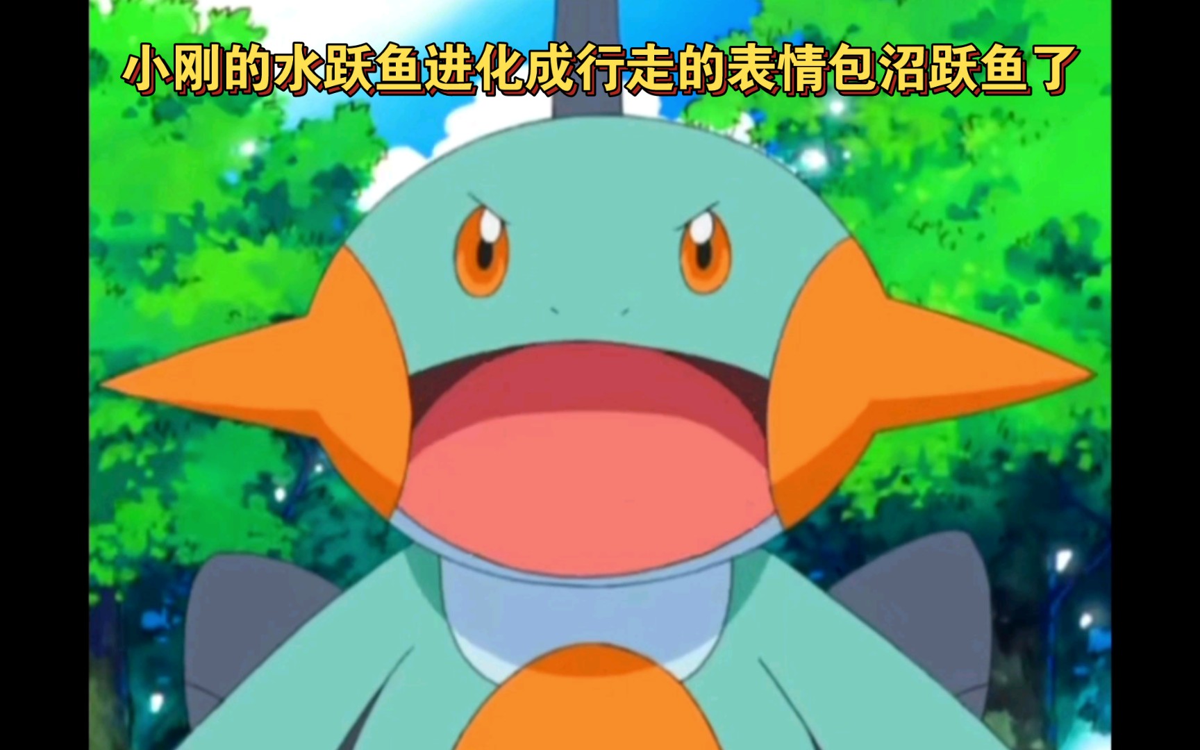 巨型石斑魚犯法嗎_巨形石斑魚_巨型石斑魚是什么魚