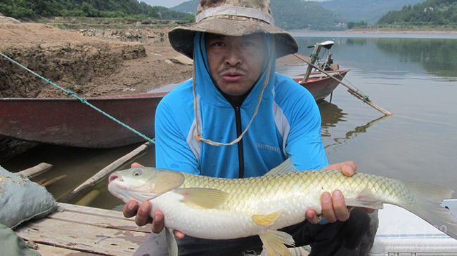 安慶市釣魚_安慶釣魚網_安慶釣魚指數查詢