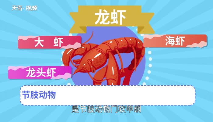 鰲蝦是什么蝦_鰲蝦的鰲是什么意思_鰲蝦是海鮮嗎