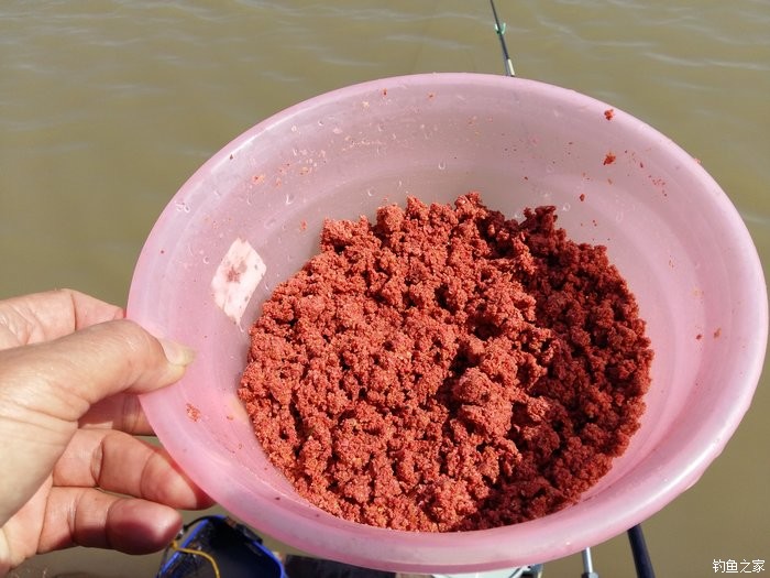 秋季釣鯉_秋釣鯉魚技巧大全_秋釣鯉魚最厲害方法