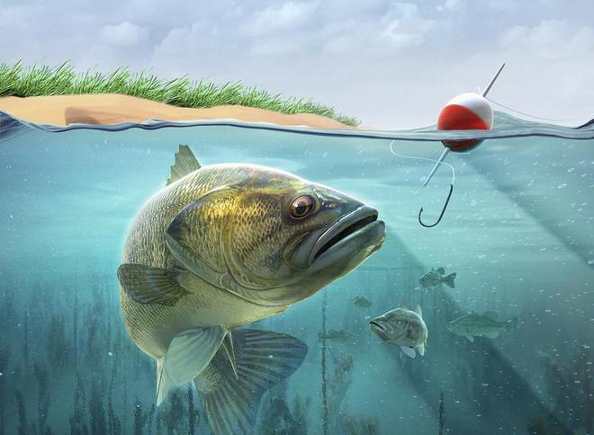 鉤釣魚視頻技巧教程_多鉤釣魚技巧視頻_鉤釣魚視頻技巧大全