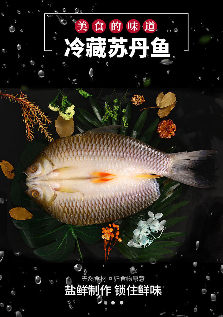 多春魚是海魚嗎_春只魚是海魚嗎_魚春是啥