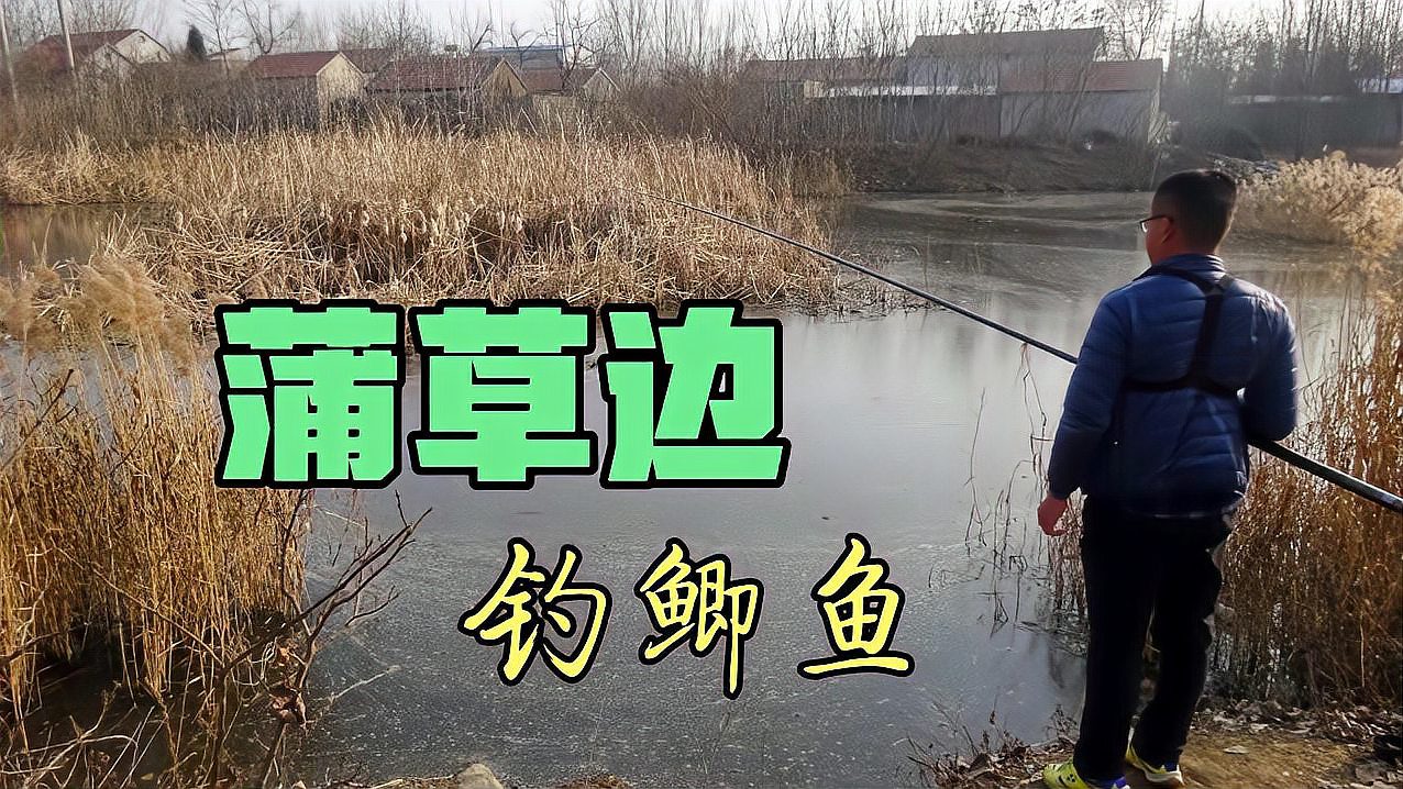 秋天野釣鯽魚怎么調漂最好_秋天野釣鯽魚技巧_秋天鯽魚技巧野釣怎么釣