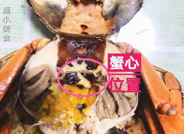 螃蟹幾個小時能不能死_螃蟹死了多長時間以后不能吃_螃蟹多久不能再吃