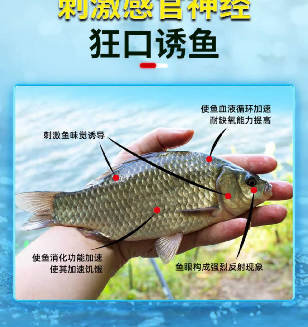 釣水庫鯉魚配方餌料大全_釣水庫鯉魚配方餌料有哪些_水庫釣鯉魚餌料配方