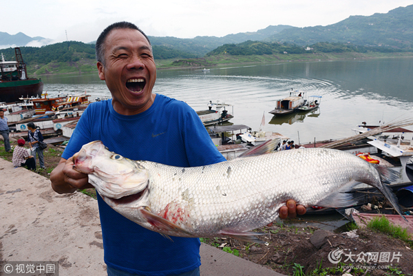 黃岡釣魚網_奇游手游加速器會員領取_冬瓜能不能和紫菜一起吃