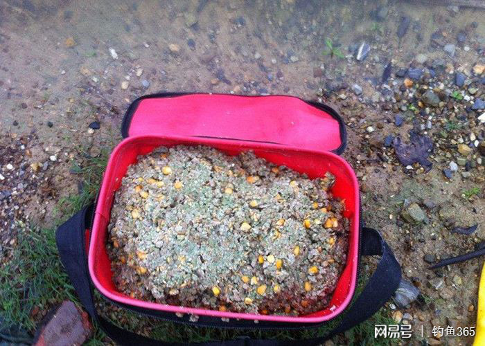 釣魚秋季鯽魚技巧野釣口訣視頻_秋季鯽魚釣法技巧野釣_秋季釣魚技巧野釣鯽魚口訣