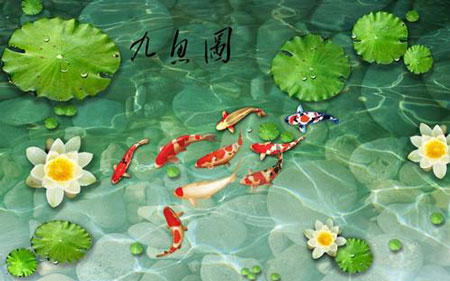 鯉魚旗的象征_鯉魚旗的鯉魚是什么的象征_鯉魚旗寓意