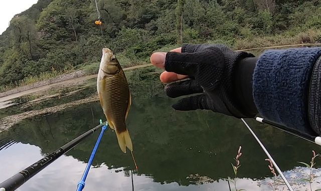 播放釣大魚視頻_釣大魚的視頻大全高清_釣大魚視頻野釣實戰