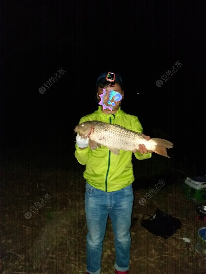 釣大魚視頻野釣實戰_播放釣大魚視頻_釣大魚的視頻大全高清