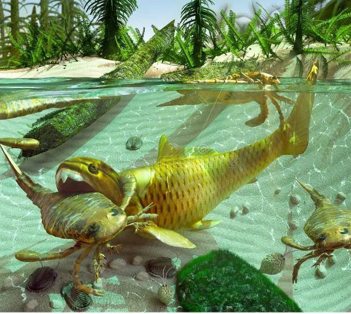 蟾蜍抱魚是怎么回事_蟾蜍抱魚是怎么回事_蟾蜍抱魚是怎么回事