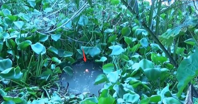 大連釣魚吧_五大連池釣魚網_大連市內釣魚點