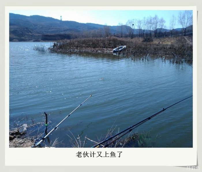 偃師釣魚網_偃師野釣釣魚好的地方_偃師野釣去哪
