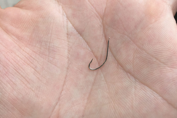 冬天釣鯽魚多大的魚鉤_冬釣鯽魚用多大的鉤_冬天釣鯽魚多大的鉤合適