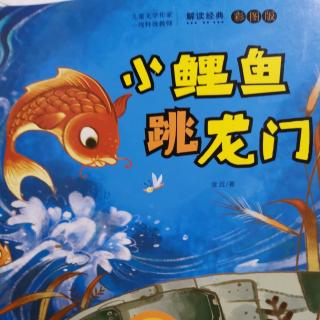 躍過龍門的鯉魚是怎么樣的_鯉魚躍龍門的龍門_鯉魚躍龍門閱讀理解