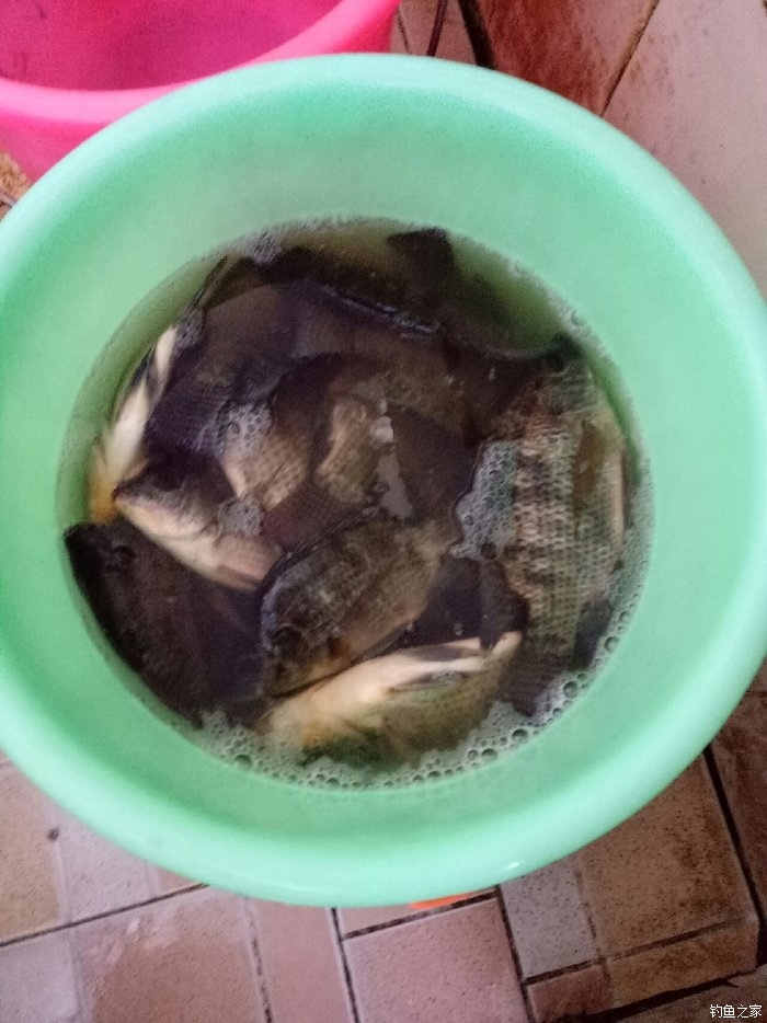 海釣魚餌料_海釣用的魚餌_海釣用什么魚餌