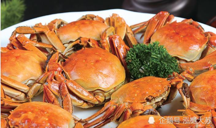 吃鮑魚主要吃什么部位_吃鮑魚主要吃它的哪里_吃鮑魚的什么部位