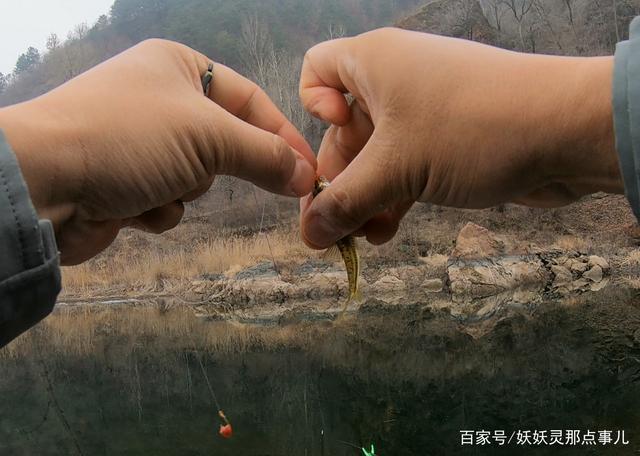 飛鉛釣法圖解_飛鉛釣法的應用_飛鉛釣魚視頻教程