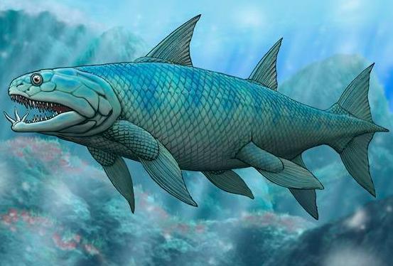 鰩魚圖片_鰩魚和魔鬼魚的區別圖片_鰩魚