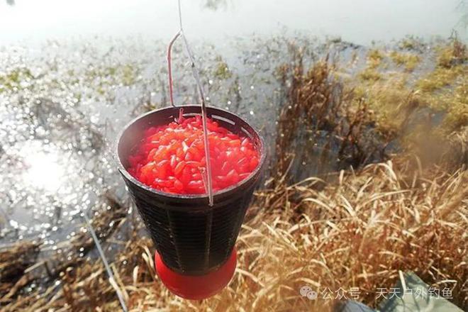 釣魚水庫春季餌料好用嗎_春季水庫釣魚用什么餌料最好_釣魚水庫春季餌料好用嗎視頻