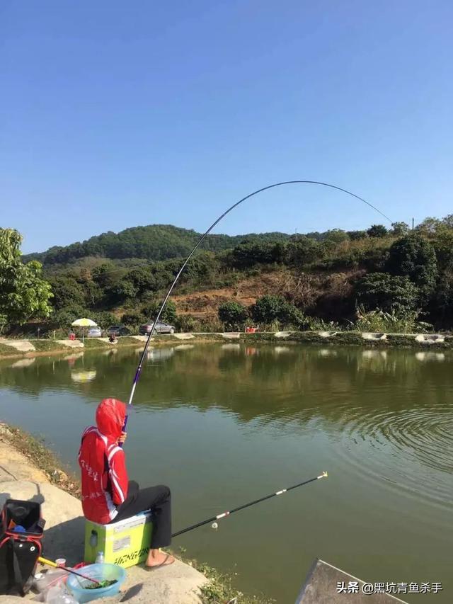 浮釣草魚用什么草_浮釣草魚用什么餌料_浮草釣草魚