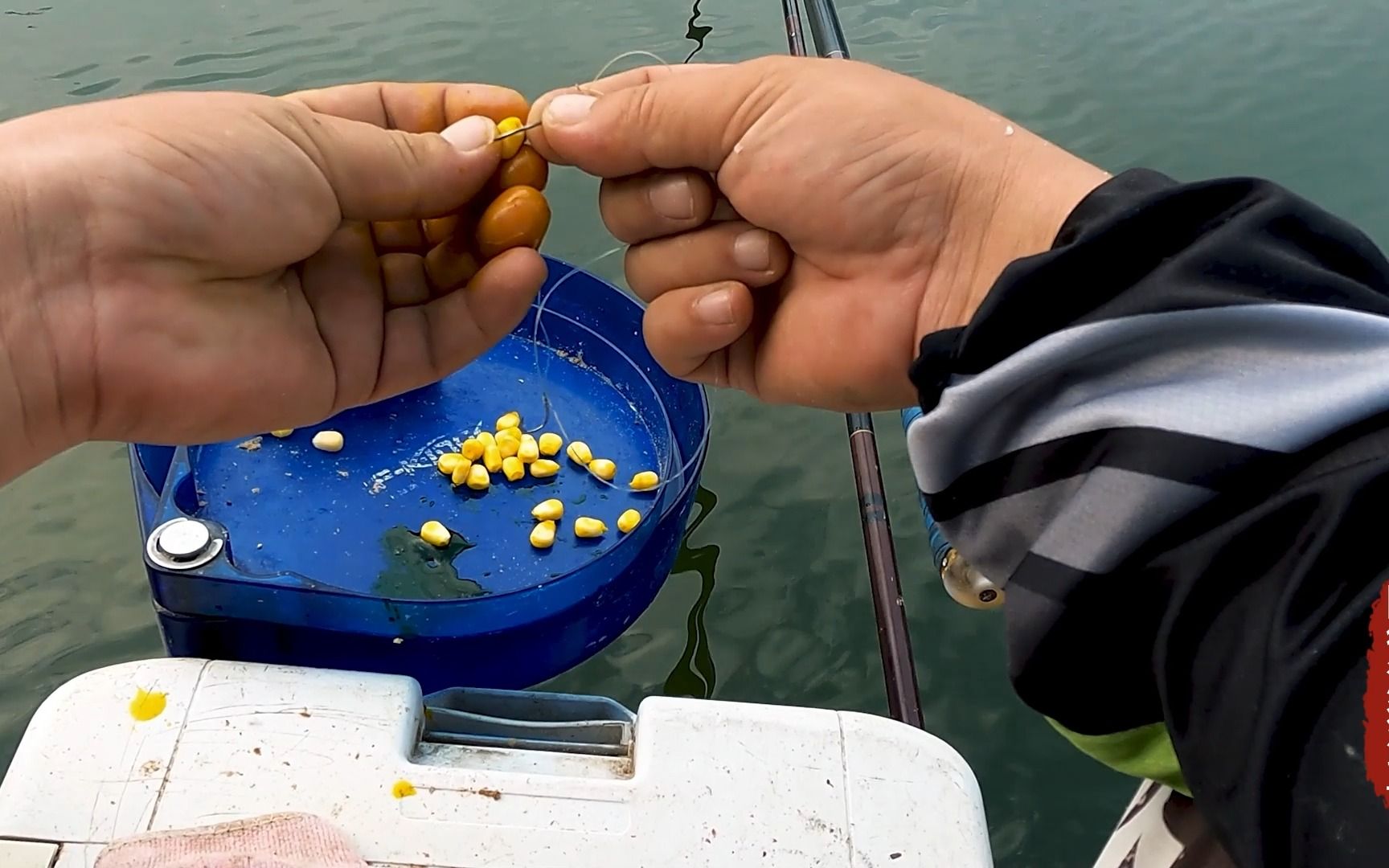 浮釣草魚用什么草_浮草釣草魚_浮釣草魚用什么餌料